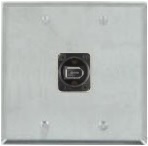 1 Port Double Gang Firewire 400 6 Pin Face Plate