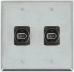 2 Port Double Gang Firewire 400 6 Pin Face Plate