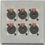 6 Port Double Gang 1/4 TRS Face Plate